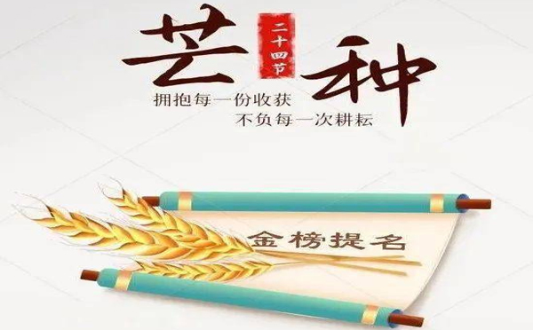 今日芒种，好运将至。致兴立群祝您健康好运齐丰收！